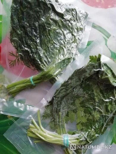 Vacuum packer Household Vacuumator. Packer Sealer Vacuumator Almaty - photo 7