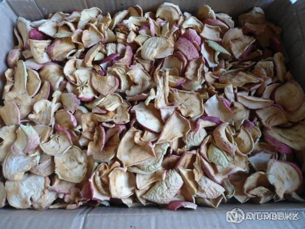 Dryer for fruits and vegetables + Free shipping Almaty - photo 3