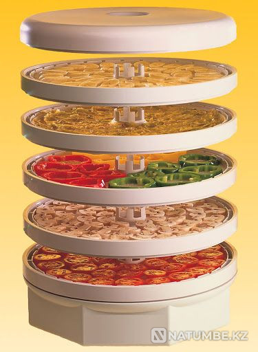 Dryer for fruits and vegetables + Free shipping Almaty - photo 1