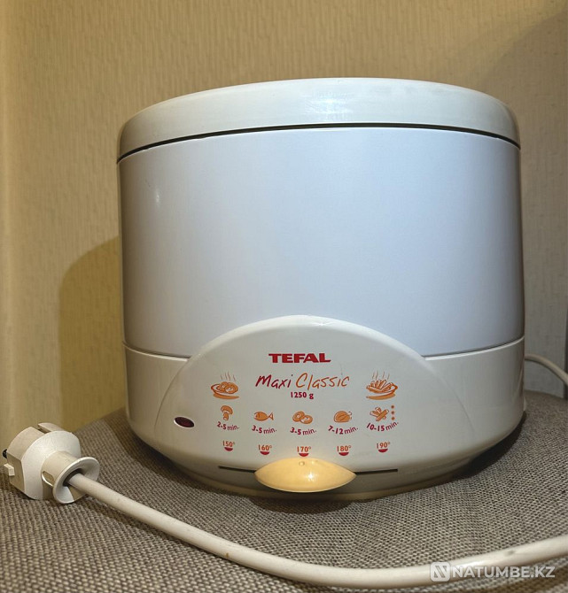 Deep fryer TEFAL Almaty - photo 1