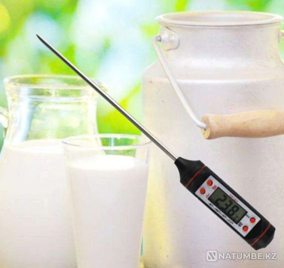 Thermometer - Thermal probe Almaty - photo 2