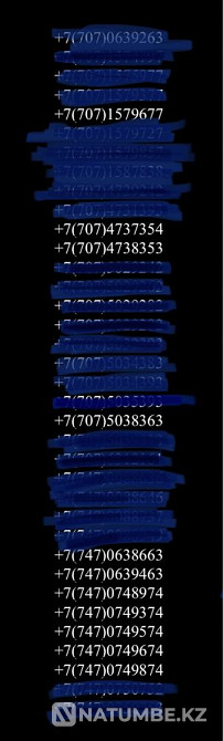 Tele2 beautiful sale Almaty - photo 2