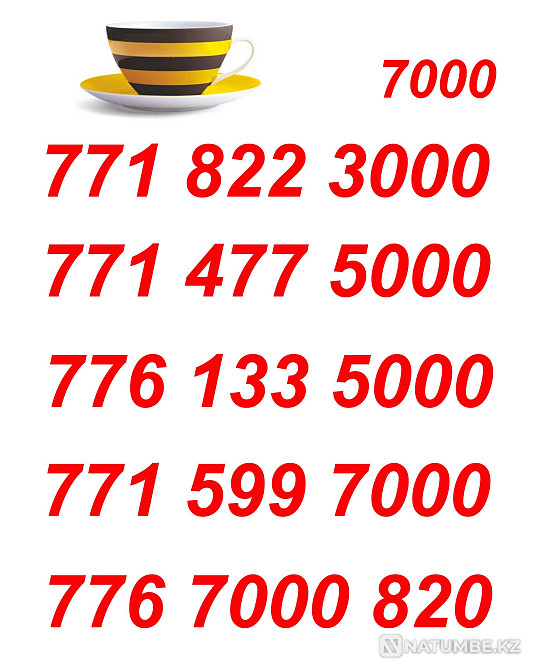 Beeline VIP Numbers for your business card Almaty - photo 3