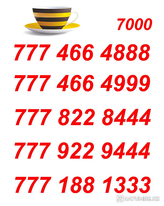 Beeline VIP Numbers for your business card Almaty - photo 2