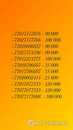 Mobile / cell numbers / SIM cards Almaty - photo 1