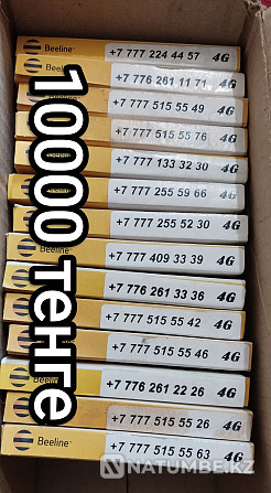Nice room; VIP number; SIM cards; Beeline; cool number; vip number Almaty - photo 1