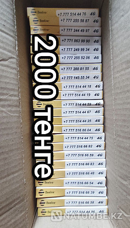 Nice room; VIP number; SIM cards; Beeline; cool number; vip number Almaty - photo 2