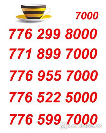 Beeline VIP Numbers for your business card Almaty - photo 3