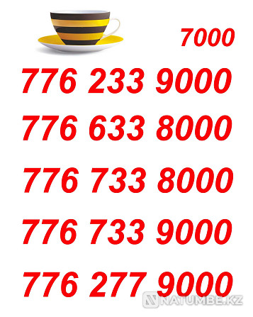 Beeline VIP Numbers for your business card Almaty - photo 2