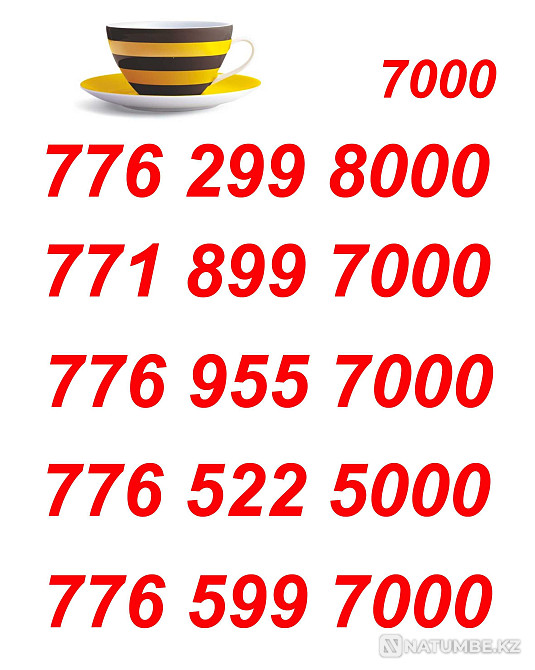 Beeline VIP Numbers for your business card Almaty - photo 3