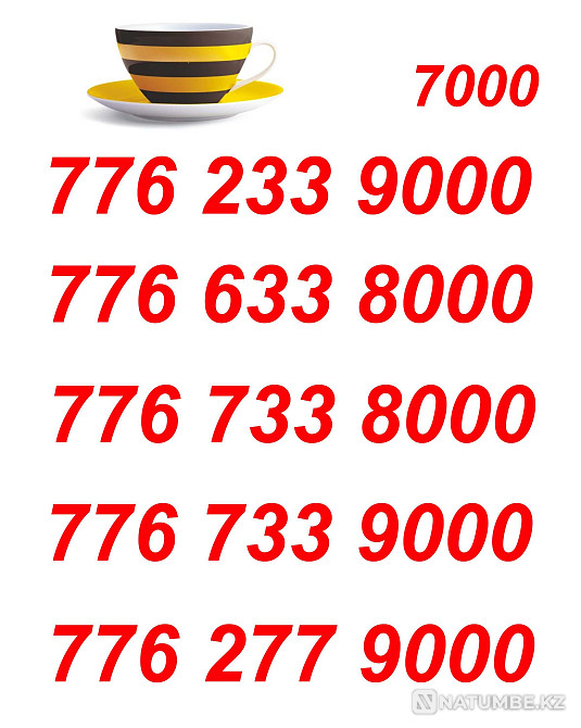 Beeline VIP Numbers for your business card Almaty - photo 2