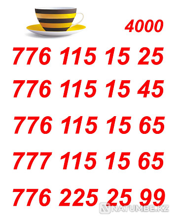 Beeline VIP Numbers for your business card Almaty - photo 1