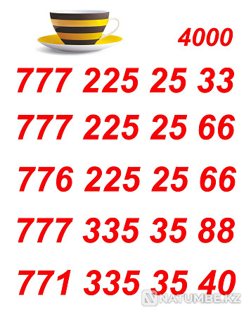 Beeline VIP Numbers for your business card Almaty - photo 2
