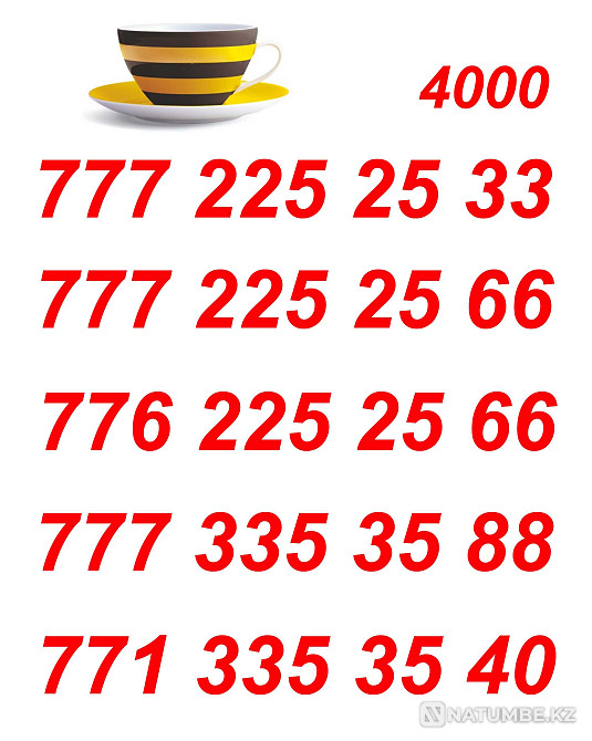 Beeline VIP Numbers for your business card Almaty - photo 2