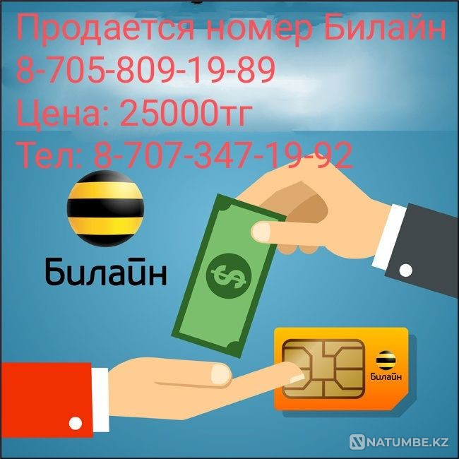 Beeline number Almaty - photo 1