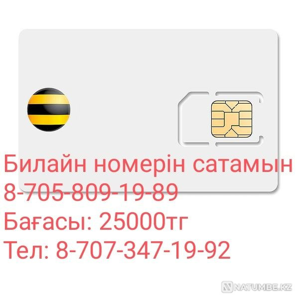 Beeline number Almaty - photo 2