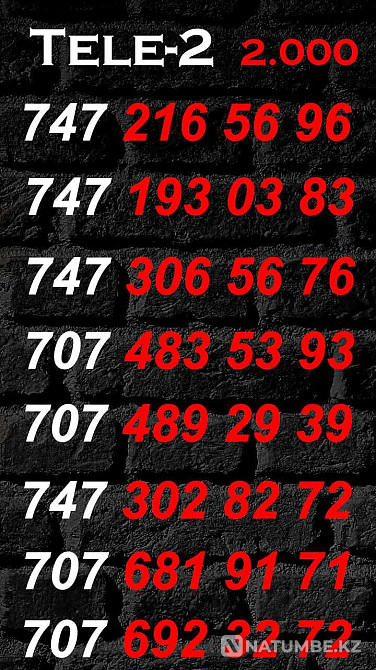 Tele2 paired numbers Almaty - photo 3