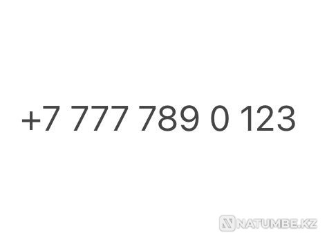 Vip number Almaty - photo 1