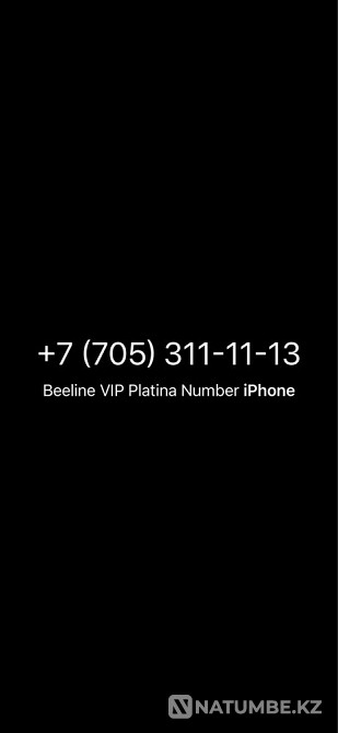 VIP rooms to choose from Almaty - photo 1