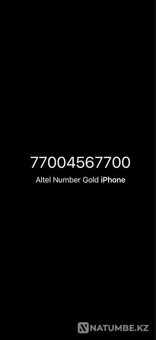 VIP rooms to choose from Almaty - photo 2