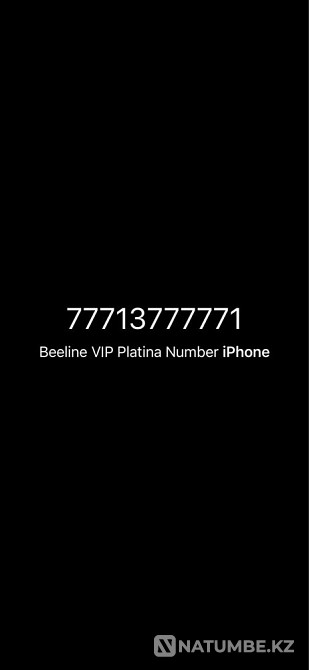 VIP rooms to choose from Almaty - photo 5