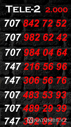 Paired numbers Tele2 and Altel. Almaty - photo 2
