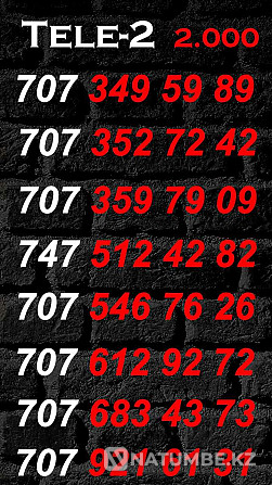 Paired numbers Tele2 and Altel. Almaty - photo 3