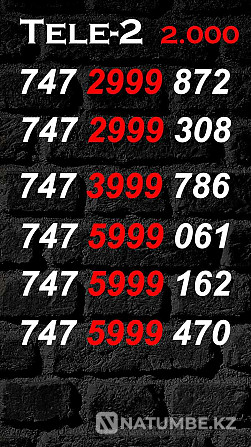 Paired numbers Tele2 and Altel. Almaty - photo 6