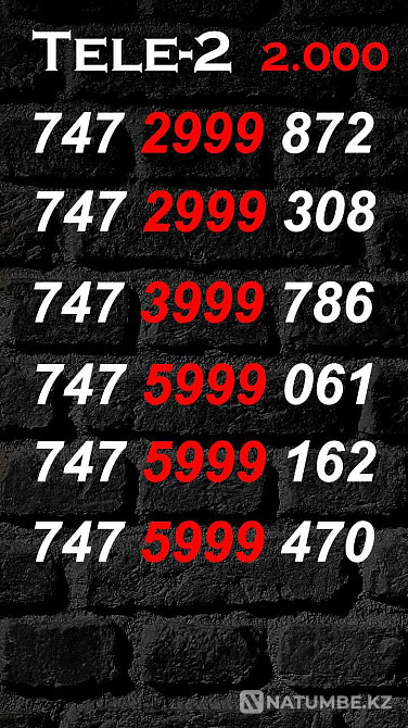 Paired numbers Tele2 and Altel. Almaty - photo 6