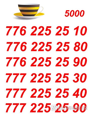 Beeline VIP Numbers for your business card Almaty - photo 1