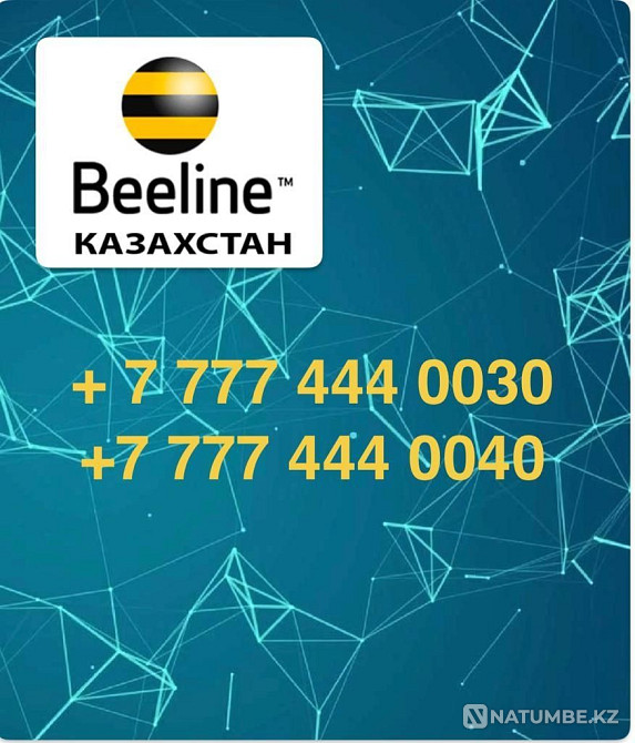 Selling a beautiful room [2pcs] Almaty - photo 1