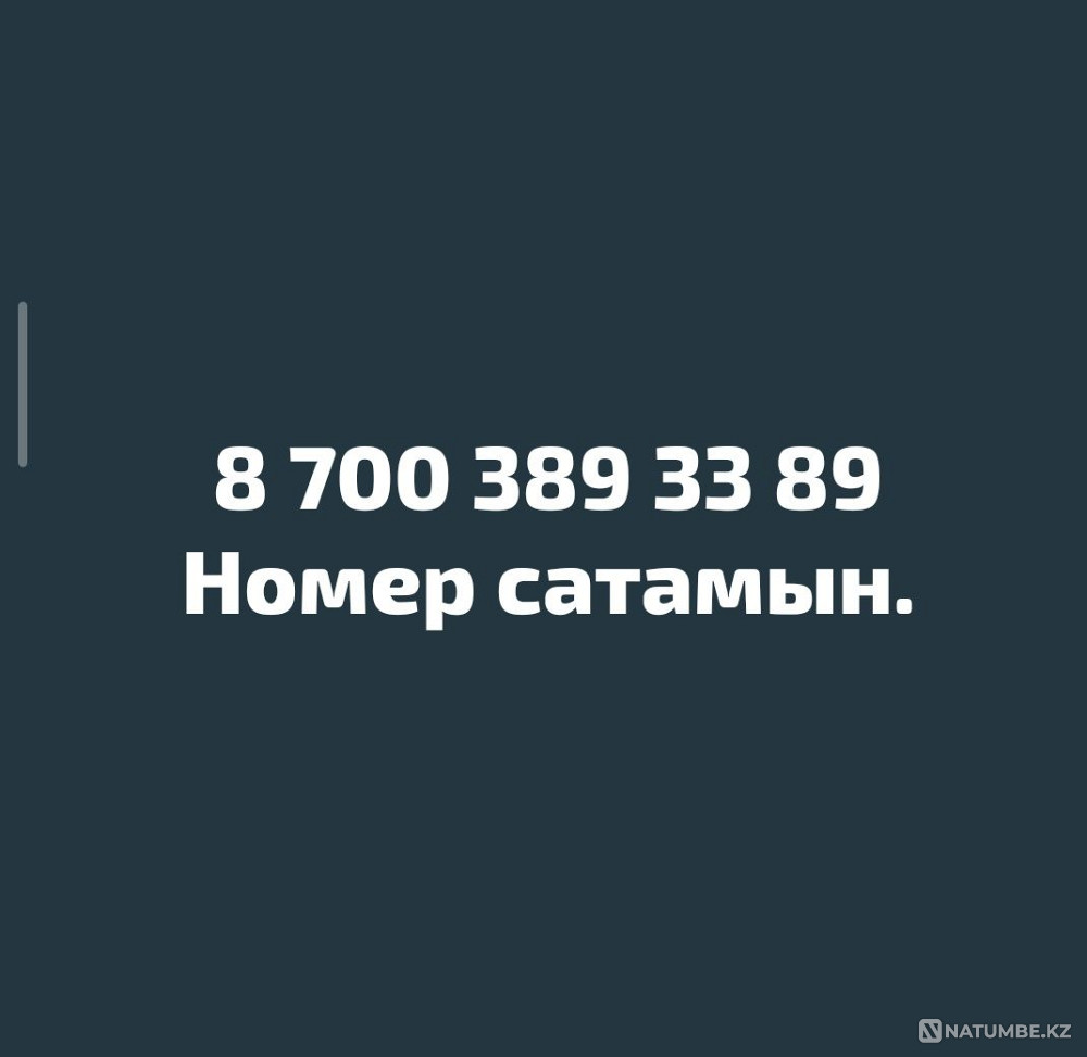 Beautiful VIP rooms Almaty - photo 1