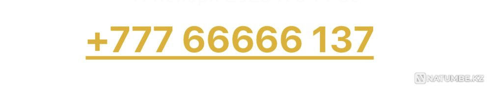 Belline VIP нөмірі  Алматы - изображение 1