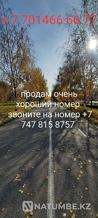 Продам номер актив Алматы - изображение 1