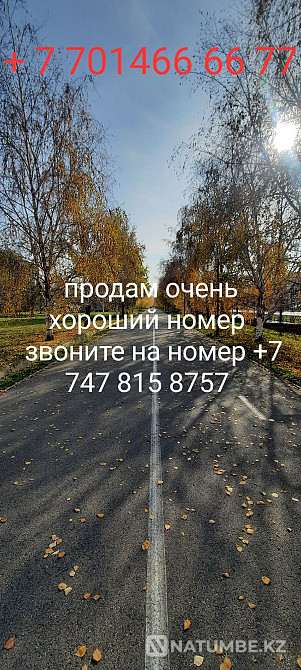 Selling asset number Almaty - photo 1