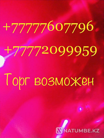 Номер Билайн Алматы - изображение 2