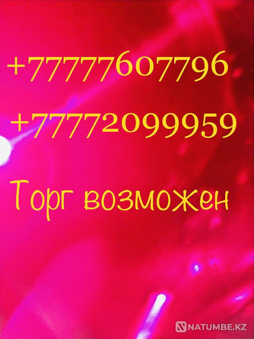 Beeline number Almaty - photo 2