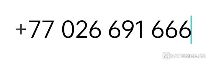 VIP number Active. Almaty - photo 1