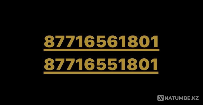 Beeline number with TP bright promo 2290 tenge 20 GB 200 minutes without limit social networks Almaty - photo 1