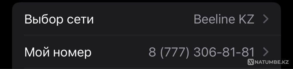 Vip satylada number Almaty - photo 1