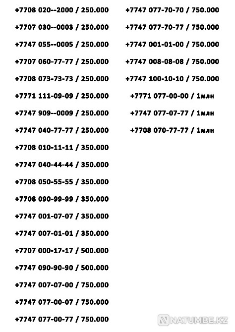 Sale of VIP rooms Almaty - photo 5