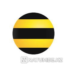 Beeline LUXURY + present Almaty - photo 1