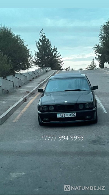 Beeline number Almaty - photo 2