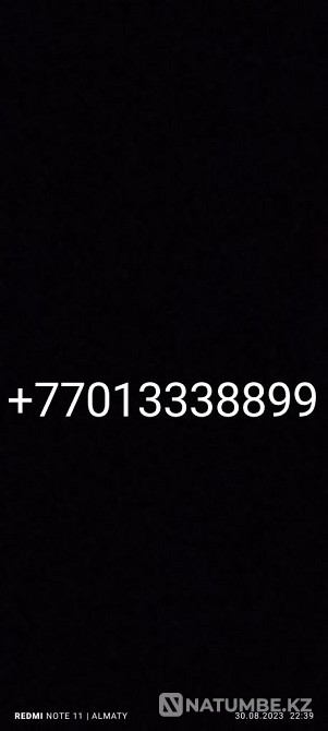 Год не пользовал Алматы - изображение 1