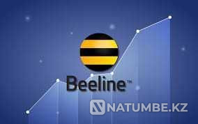 Ошибка:510 Алматы - изображение 3