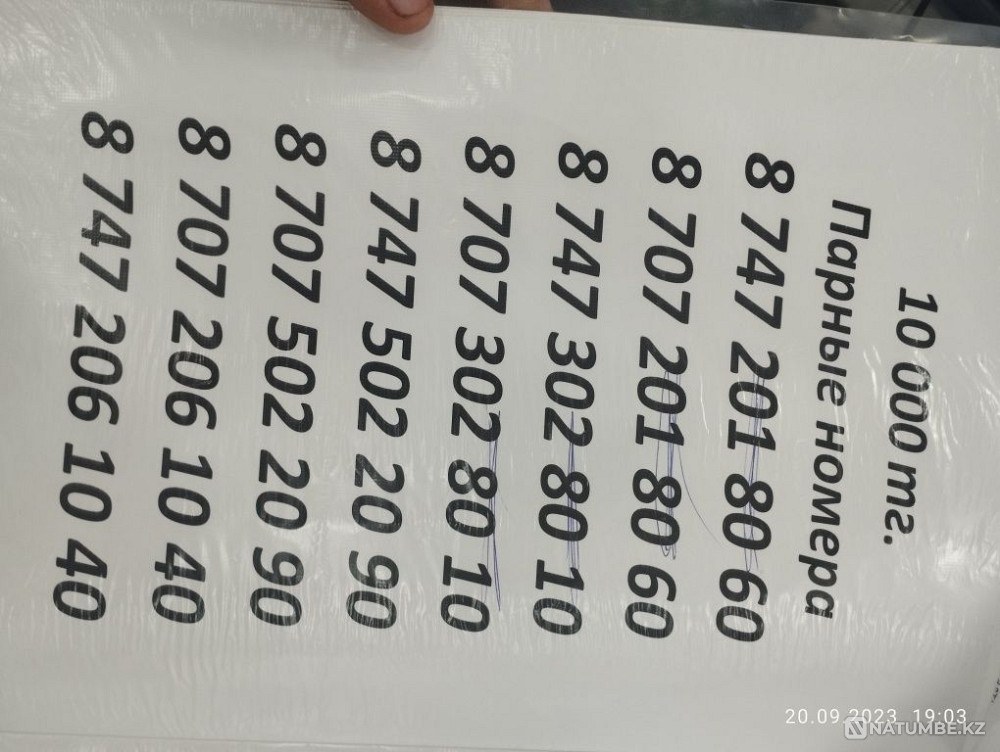 Belai. Tele 2.number Almaty - photo 2