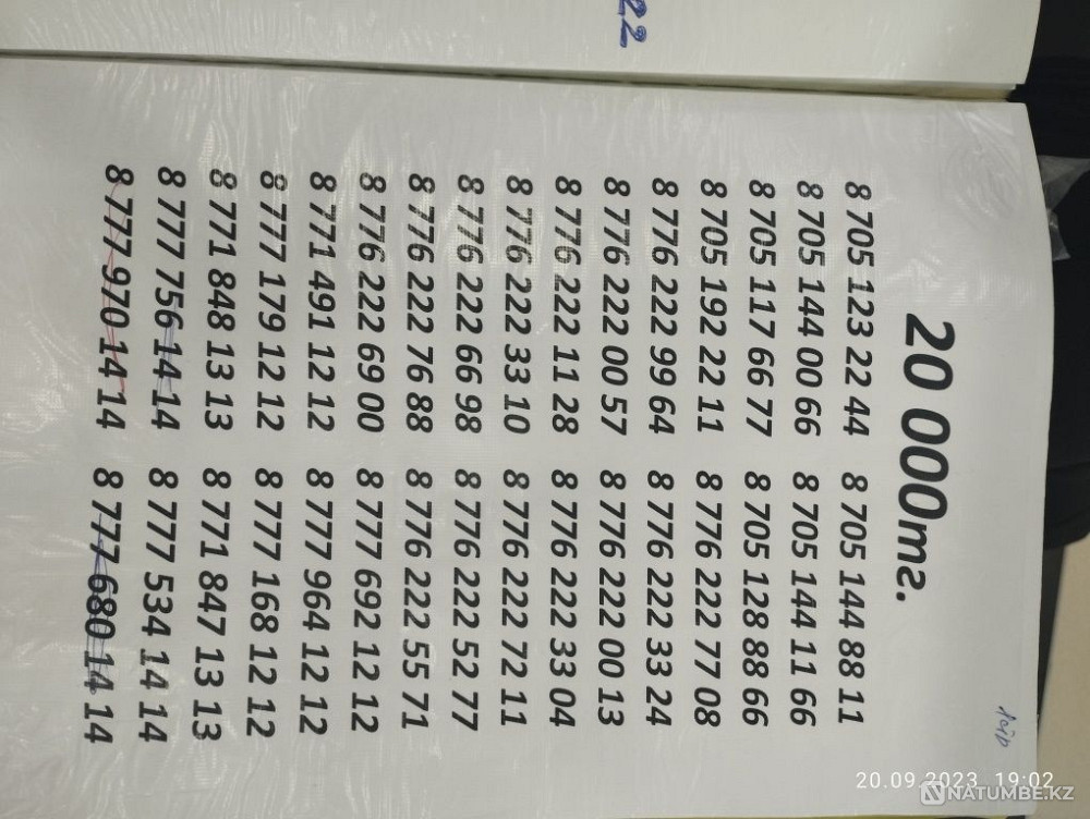 Belai. Tele 2.number Almaty - photo 4