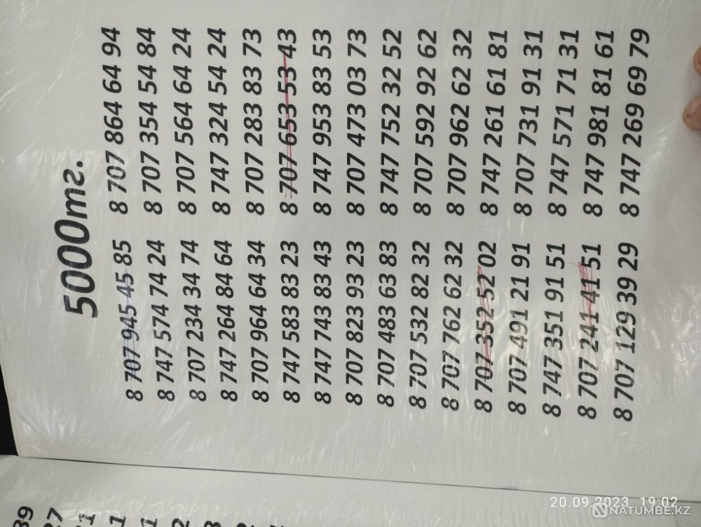 Belai. Tele 2.number Almaty - photo 5