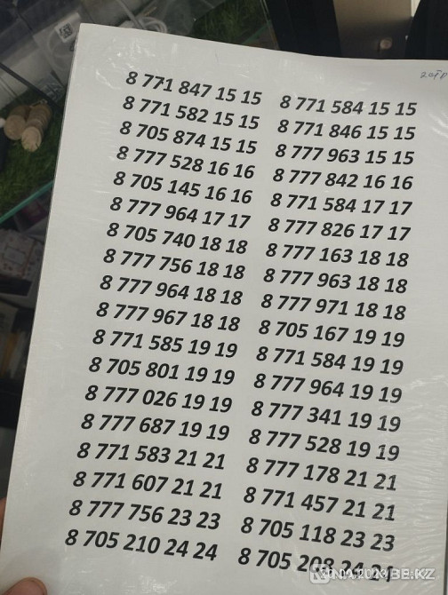 Belai. Tele 2.number Almaty - photo 3