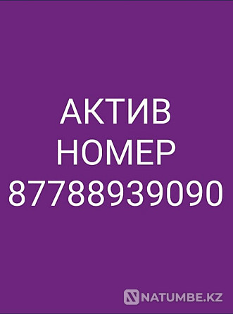 Продам актив номер Алматы - изображение 1